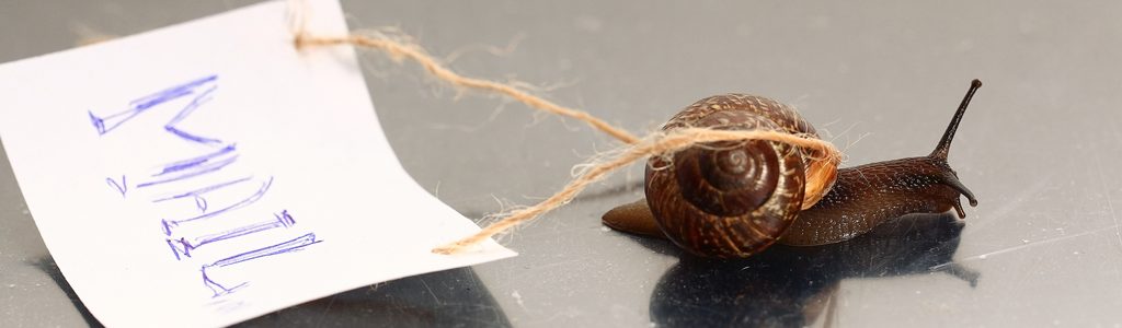 snail dragging mail sign to convey mail delay