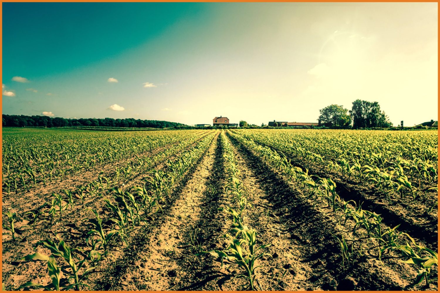 Farm Credit Association a field representing agriculture